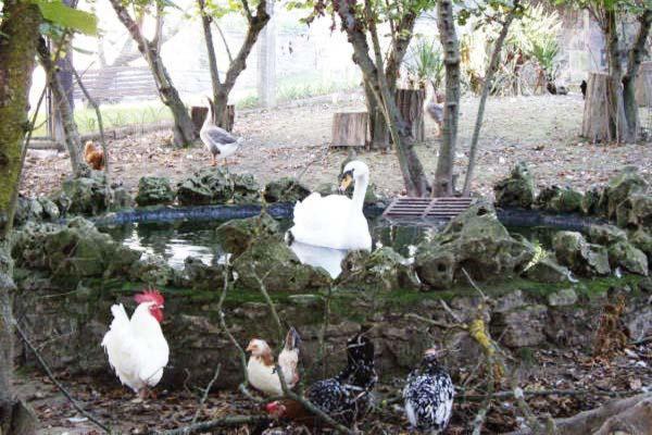 Apartamentos Rurales Rincon De Aiara Menagaray Luaran gambar